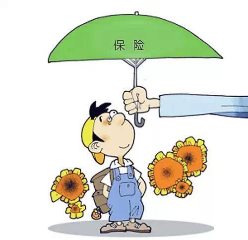 保险.jpg