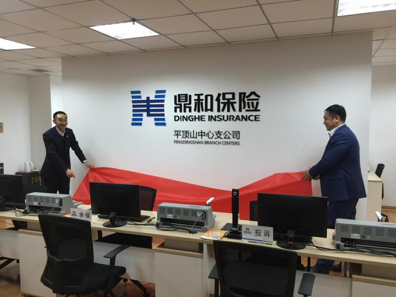 鼎和保险公司相片.jpg