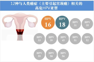 图12.png