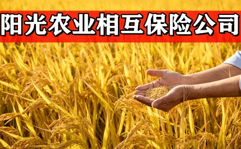 阳光农险公司.jpg