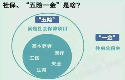 五险是社保吗1.jpg