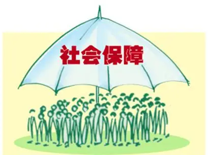保单查询.jpg