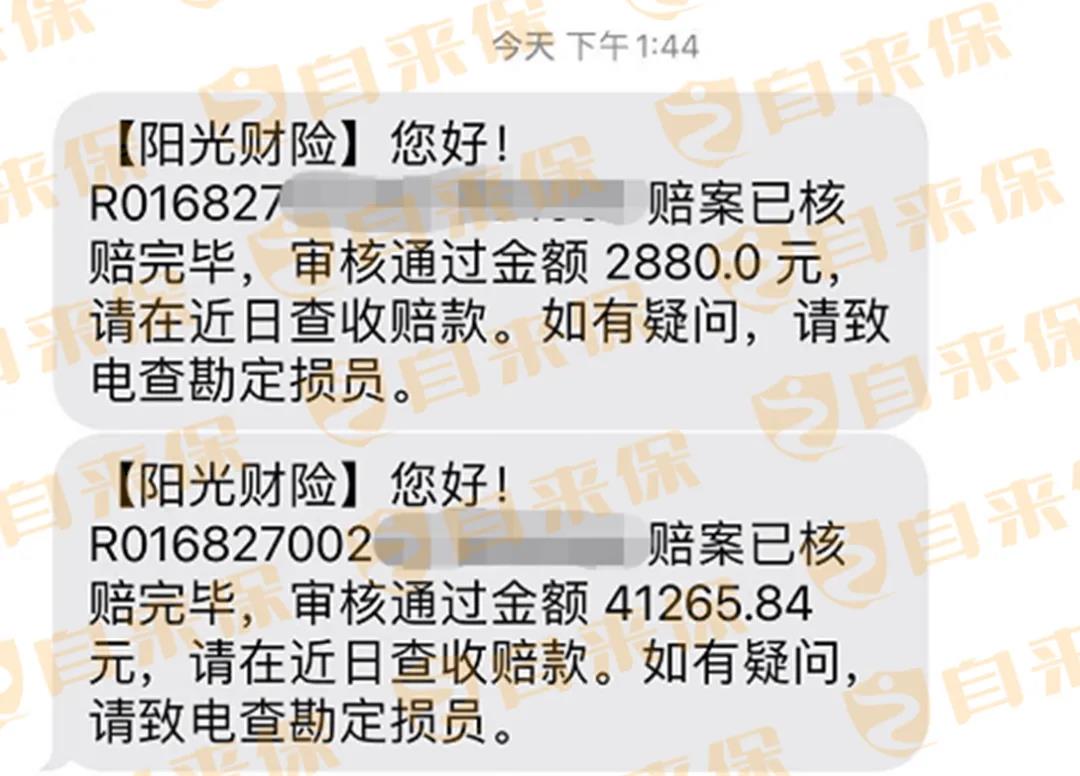 承保情况.jpg