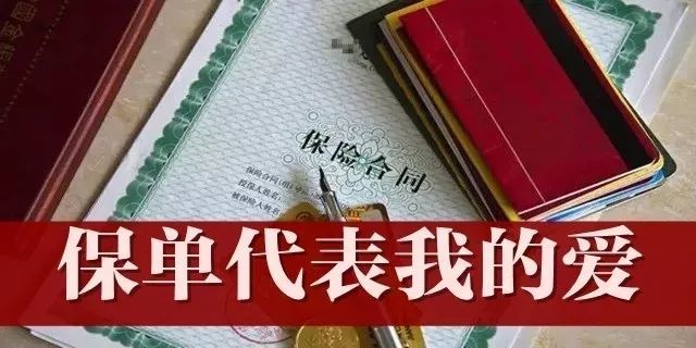 95519保单查询.jpg