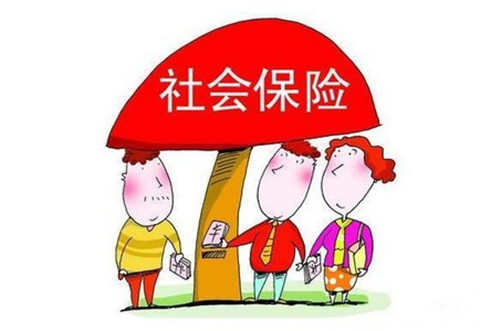 云南省个人社保缴费多少.jpg
